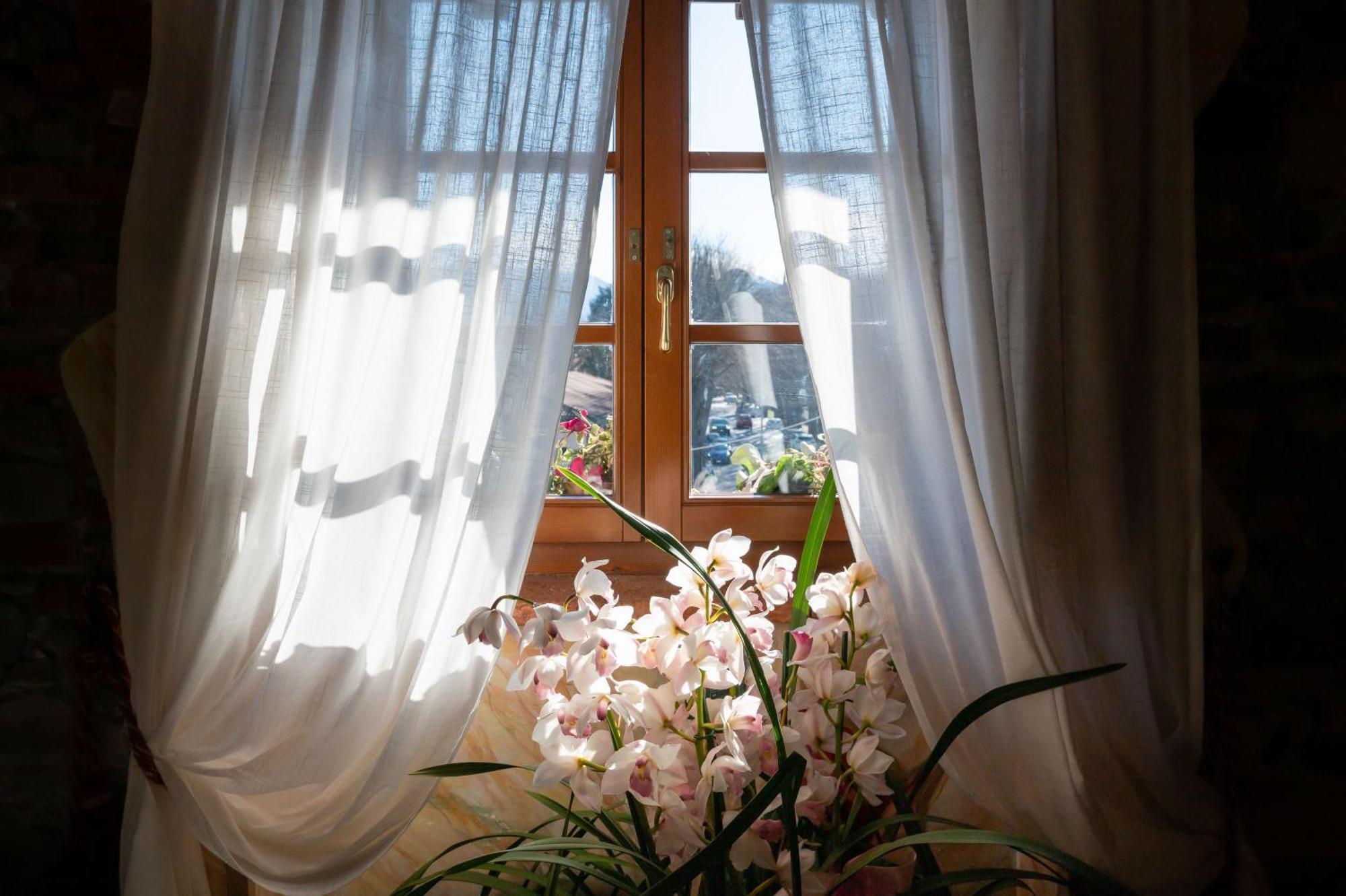 Luxury Corte Di Re Artu Lucca Dış mekan fotoğraf